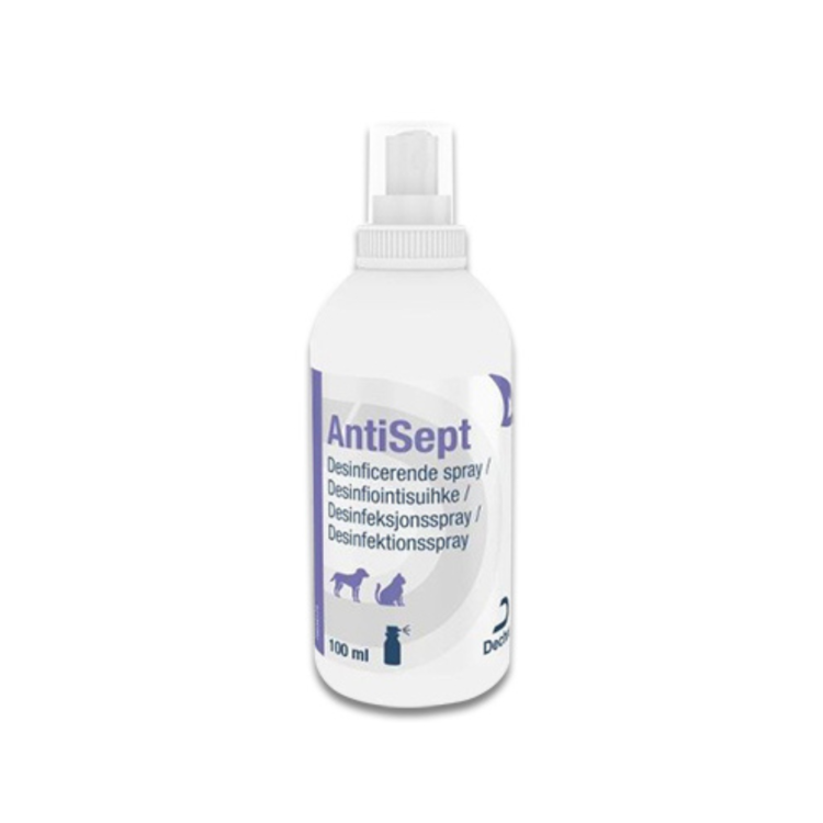 Dechra ANTISEPT 100 ML spray dezynfekujący z chlorheksydyną dla psów i kotów - thumbnail