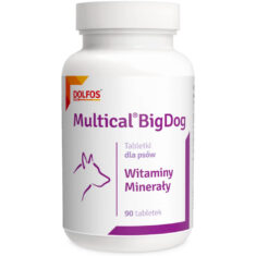 Dolfos MULTICAL BIGDOG 90 TABLETEK witaminowo-mineralny preparat dla dużych ras psów - thumbnail nav