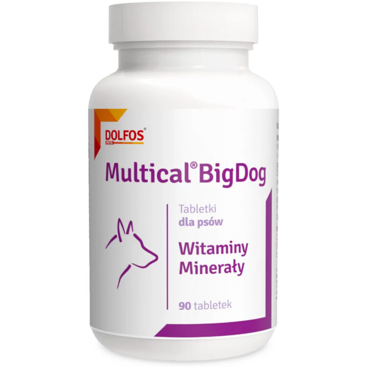 Dolfos MULTICAL BIGDOG 90 TABLETEK witaminowo-mineralny preparat dla dużych ras psów - thumbnail