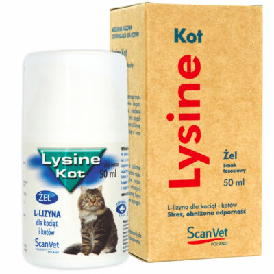 ScanVet LYSINE KOT 50 ML preparat wzmacniający odporność z L-lizyną dla kociąt i kotów