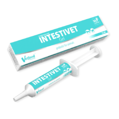 Vetfood INTESTIVET GEL 15 ML probiotyk, witaminy i kwasy omega w formie pysznej pasty dla psów i kotów - thumbnail nav