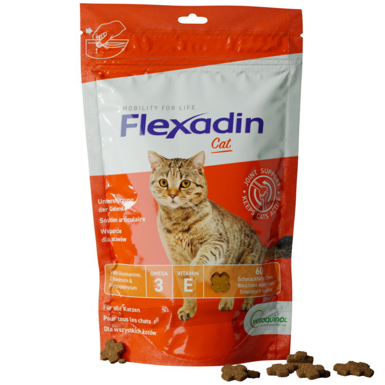 Vetoquinol FLEXADIN CAT 60 KĄSKÓW DLA KOTA przysmaki na stawy - thumbnail