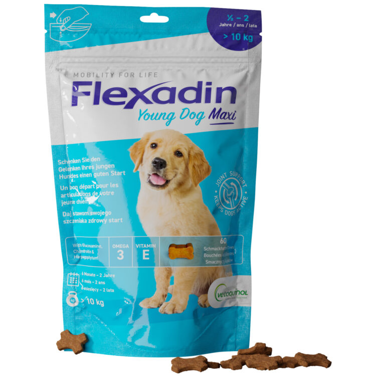 Vetoquinol FLEXADIN YOUNG DOG MAXI 60 KĄSKÓW smaczki na stawy dla młodego psa - thumbnail
