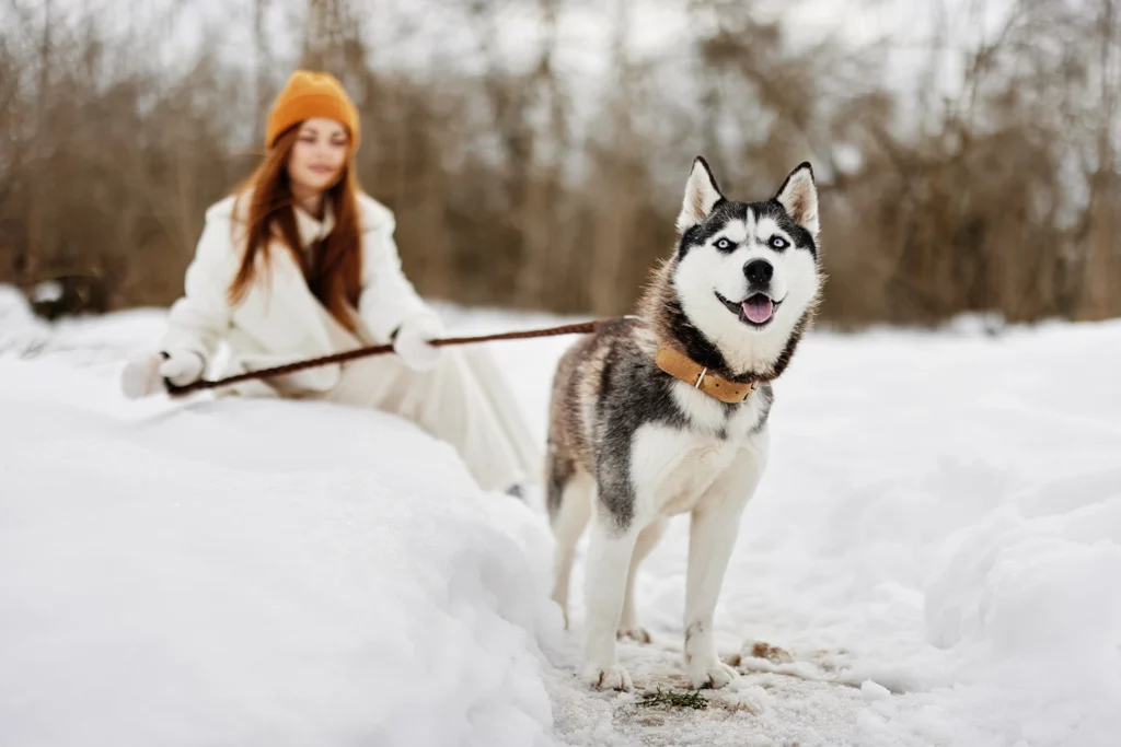 spacer z psem zimą, ochrona łap