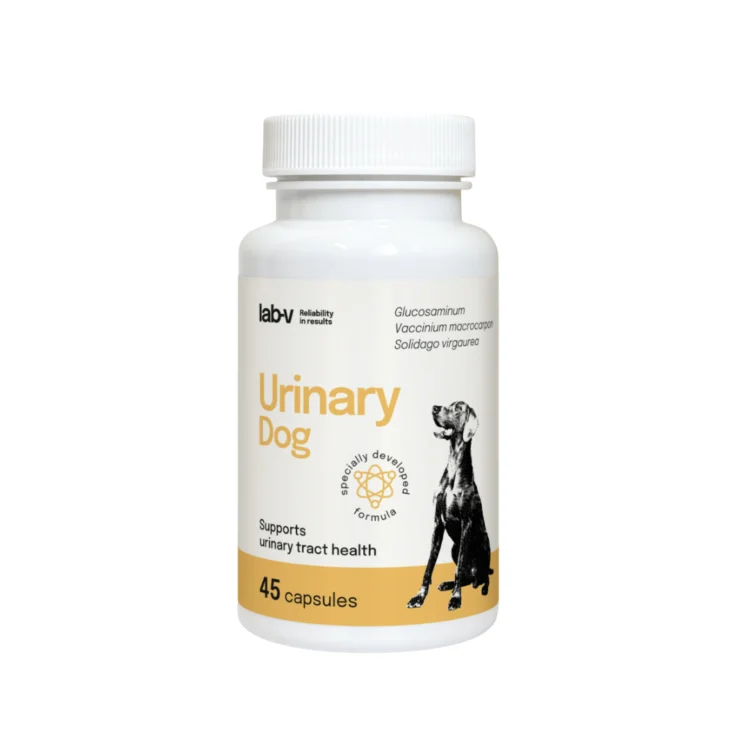 Lab-V URINARY DOG 45 KAPSUŁEK wsparcie przy zakażeniu dróg moczowych u psów - thumbnail