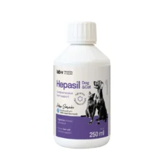 Lab-V HEPASIL DOG & CAT 250 ML syrop wspierający wątrobę - thumbnail nav